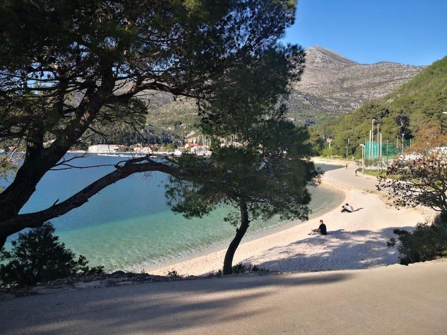 Studio Apartman Karlita Slano Exteriör bild