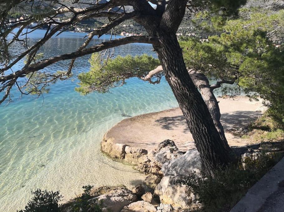 Studio Apartman Karlita Slano Exteriör bild